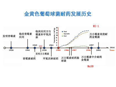 精油如何杀菌抗菌，你到底了解多少？ 第 4 张